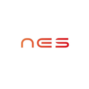 Nes E-Fatura logosu